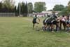 thumb_IMG_1729.jpg